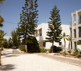 Die schön angelegte Grünstreifen um die Hotelanlage des Aphrodite Hotels auf Zypern