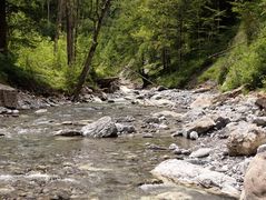 Sauberes Wasser im Gebirgsbach