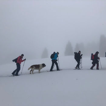 Weekend Schneeschuhlaufen kombiniert mit Yoga Tour im Nebel mit Emma dem Bernadiener Hund