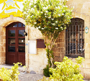 Fassade einer Taverne in Polis auf Zypern mit weiss blühenden Oleander Busch