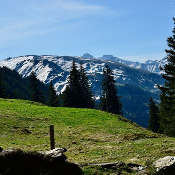 Sanfte Bergwiesen und schneebedeckte Berge in der Schweiz