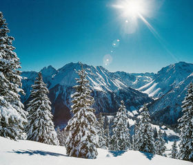 Schneebedeckte Landschaft und Tannen in den Östereichischen Alpen