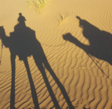 Schatten der Dromedar Karavane in den Sanddünen